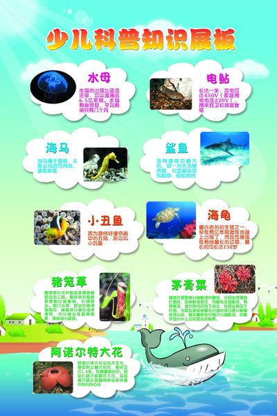 2024科普书籍推荐！孩子们必读的98部优秀之作