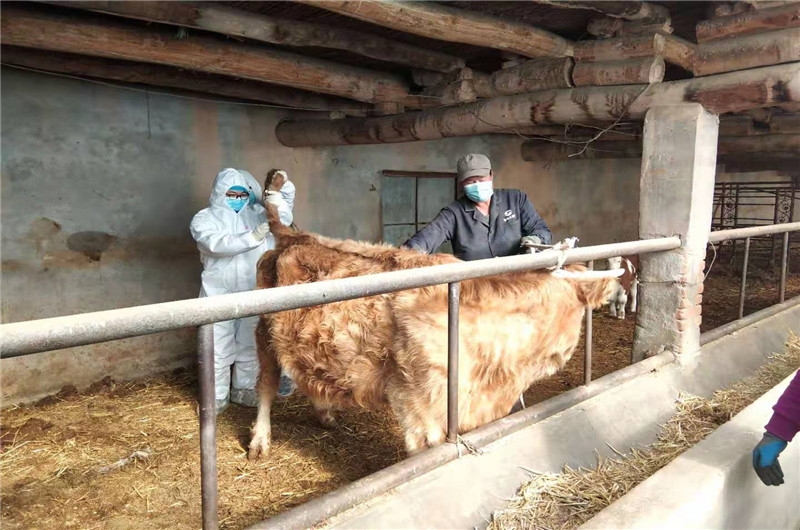 假装屏幕破碎的特效壁纸